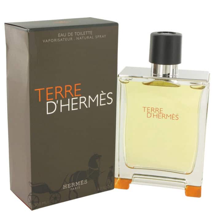 Terre D'Hermes By Hermes - Eau De Toilette Spray 6.7 Oz