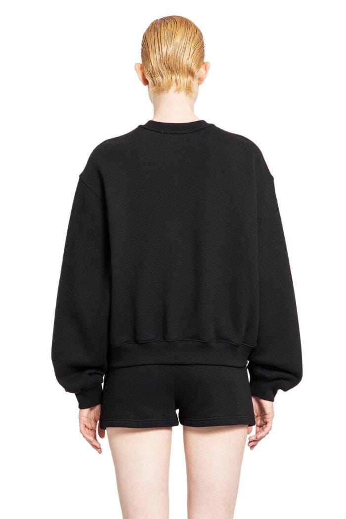 ALEXANDER WANG Puff Paint Logo Sweatshirt