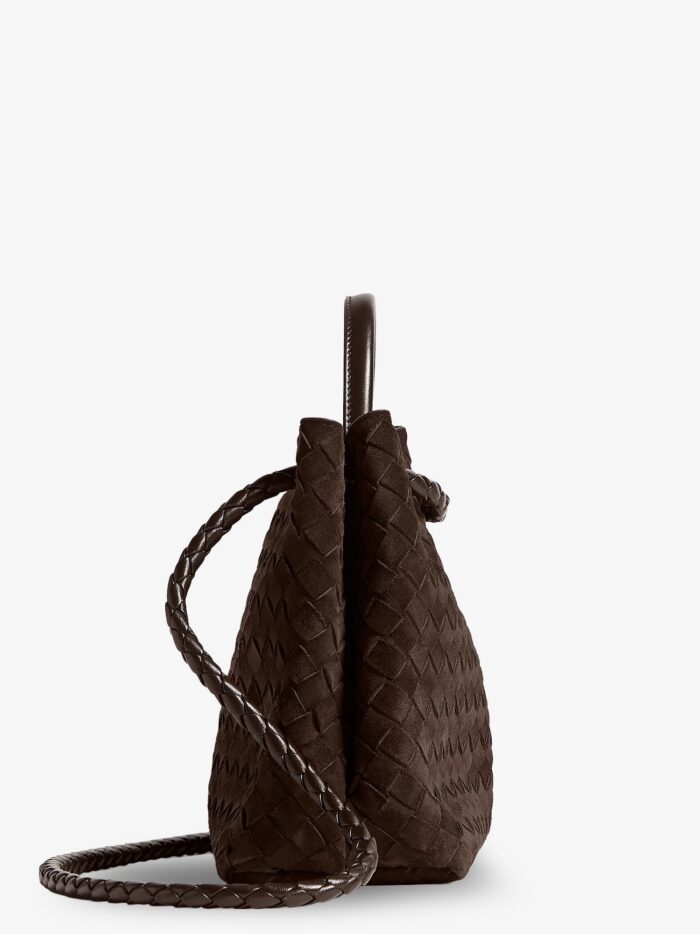 Bottega Veneta Andiamo Medium Suede Handbag