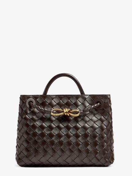 Bottega Veneta Andiamo Small Leather Crossbody Bag With Intrecciato Motif