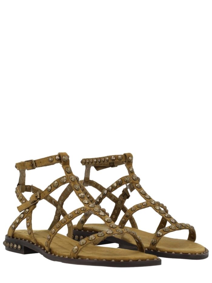 Ash SANDALO "PRECIOUS"