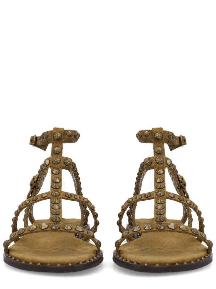 Ash SANDALO "PRECIOUS"