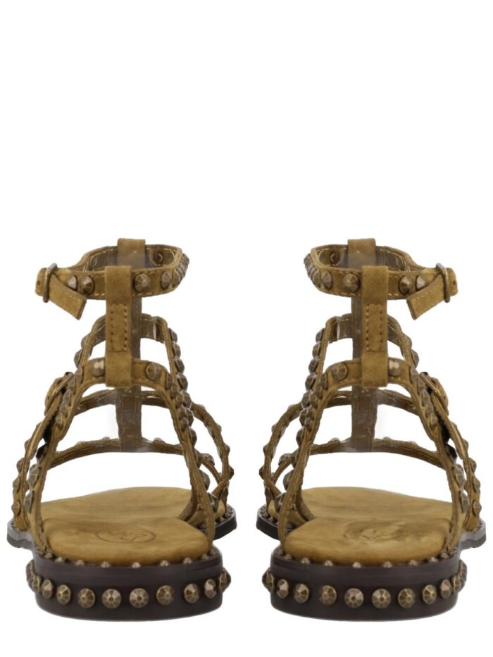 Ash SANDALO "PRECIOUS"