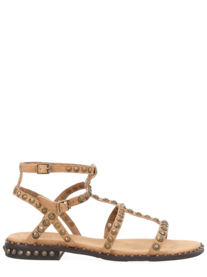 Ash SANDALO "PRECIOUS"