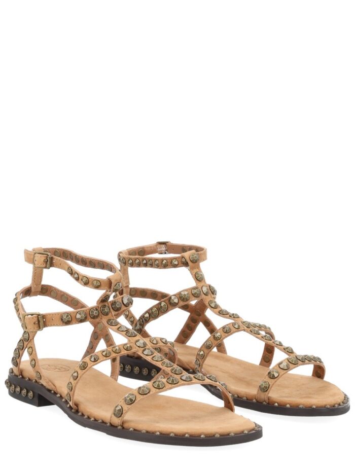 Ash SANDALO "PRECIOUS"