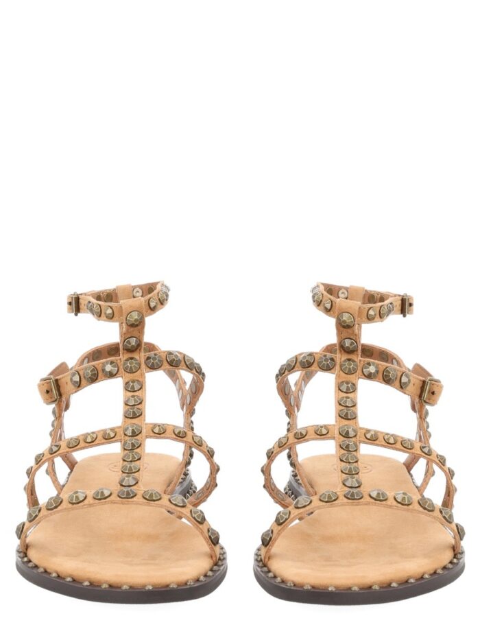 Ash SANDALO "PRECIOUS"