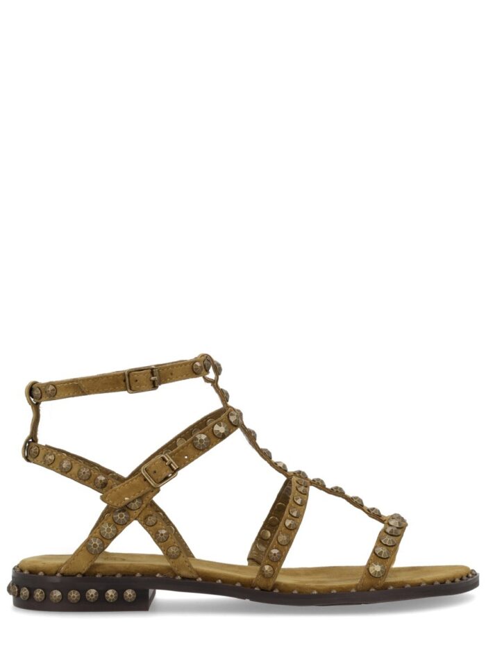 Ash SANDALO "PRECIOUS"