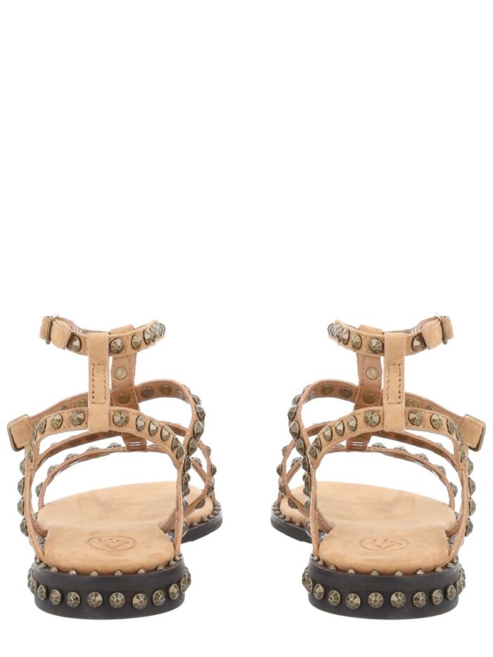 Ash SANDALO "PRECIOUS"