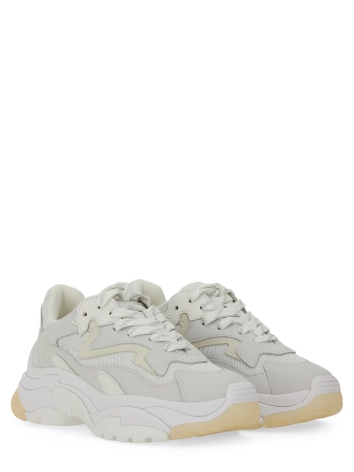 Ash SNEAKER "ADDICT"
