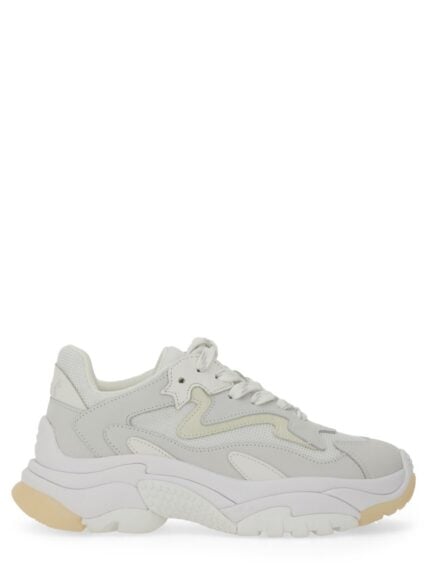 Ash SNEAKER "ADDICT"