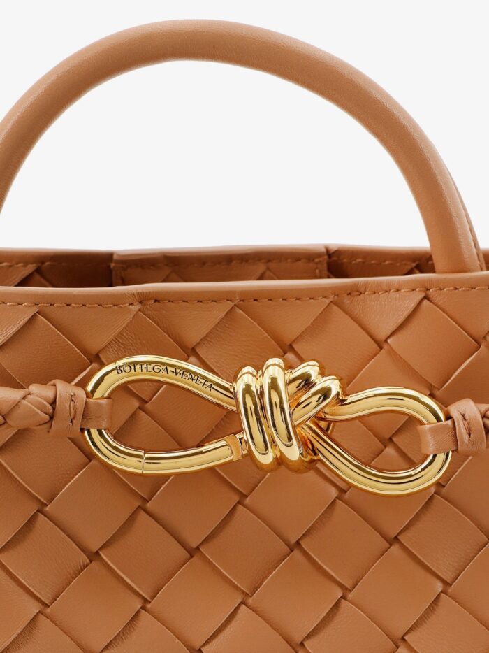 Bottega Veneta Andiamo Small Leather Crossbody Bag