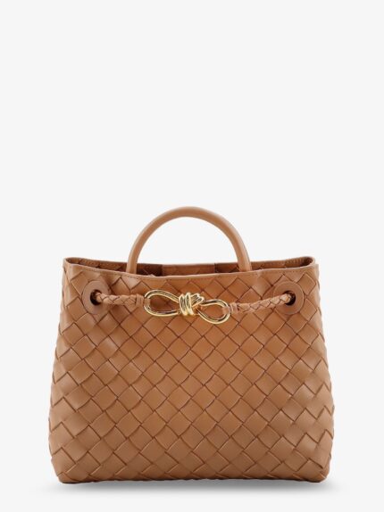 Bottega Veneta Andiamo Small Leather Crossbody Bag