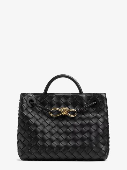 Bottega Veneta Andiamo Small Leather Shoulder Bag With Intrecciato Motif