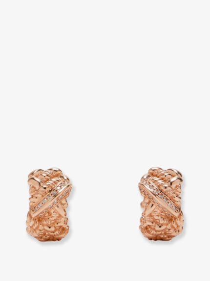 Bottega Veneta Brass Earrings With Gold Finishes