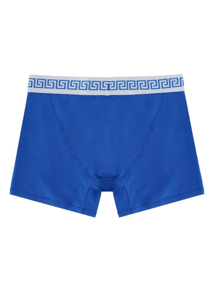 Versace Boxer "Trunk" In Jersey Di Cotone