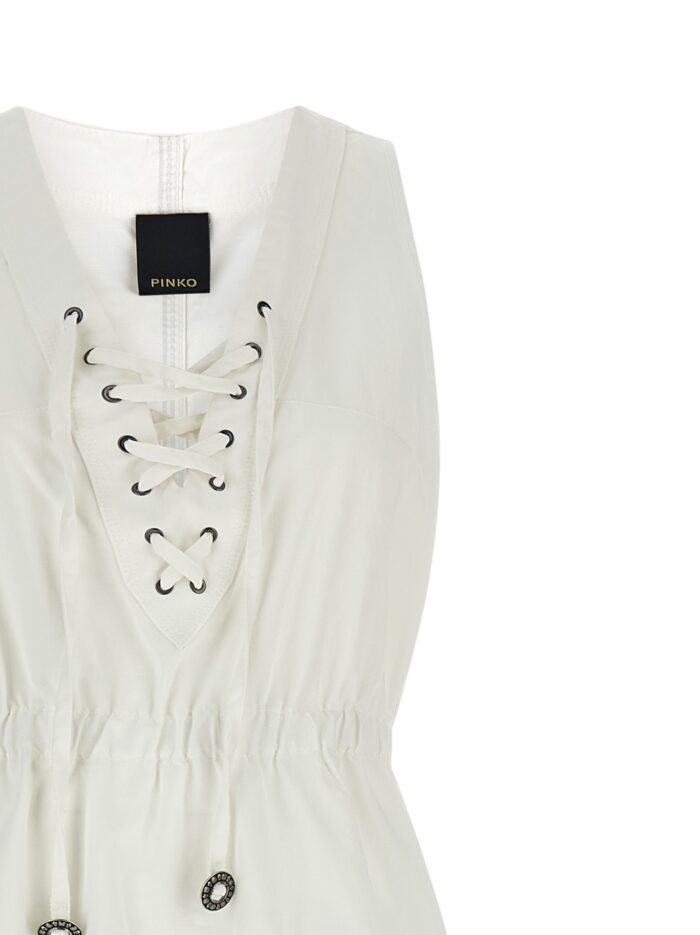 Pinko 'Casarsa' Dress