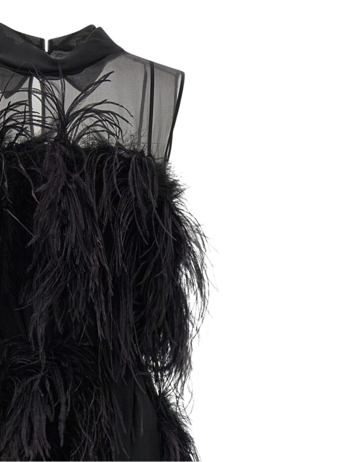 Alberta Ferretti Chiffon And Feather Dress