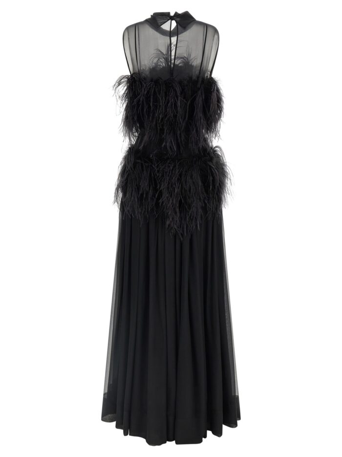 Alberta Ferretti Chiffon And Feather Dress