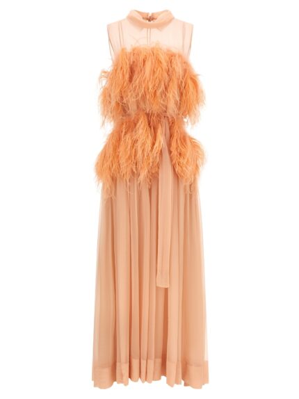 Alberta Ferretti Chiffon And Feather Dress