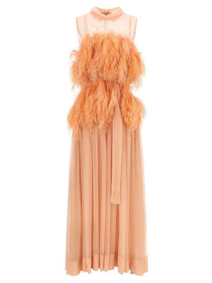Alberta Ferretti Chiffon And Feather Dress