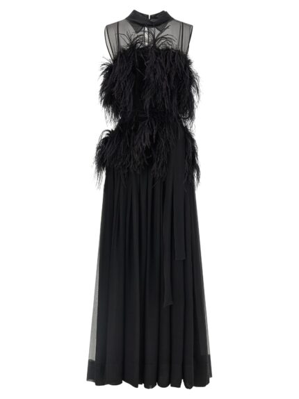 Alberta Ferretti Chiffon And Feather Dress