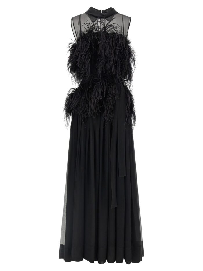 Alberta Ferretti Chiffon And Feather Dress
