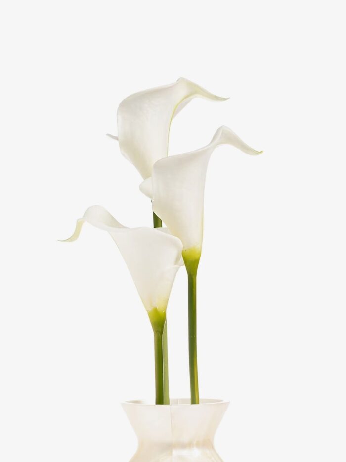 CULT GAIA Florence Acrylic Clutch Bag With Marbled Effect And Calla Lily Detail