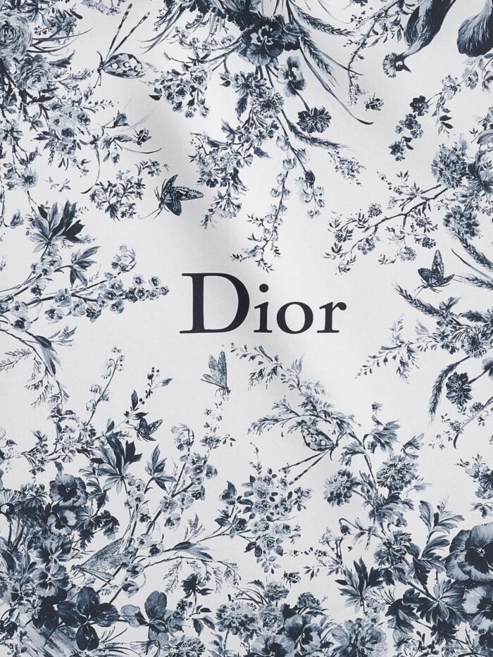 Dior Silk Foulard