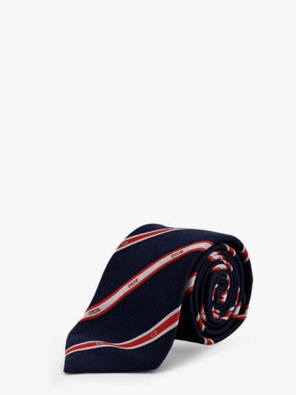 Dior Silk Tie