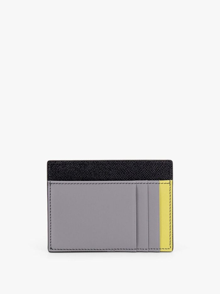 DOLCE E GABBANA Saffiano Leather Card Holder With Animalier Insert