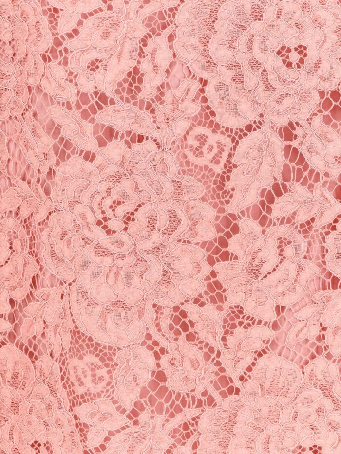Dolce & Gabbana A Line Dg Floral Lace Dress