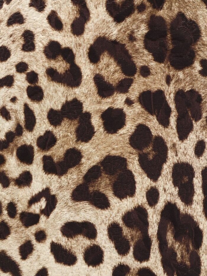 Dolce & Gabbana Cotton, Silk And Viscose Mini Skirt With Animal Motif