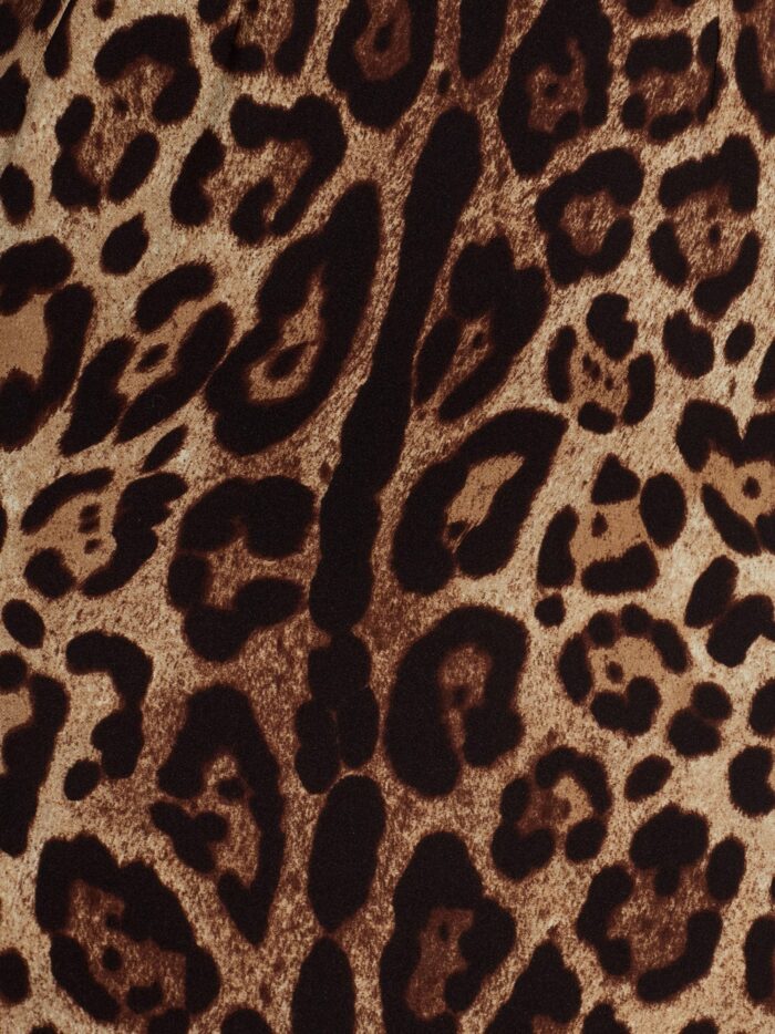 Dolce & Gabbana Midi Dress With Animal Print