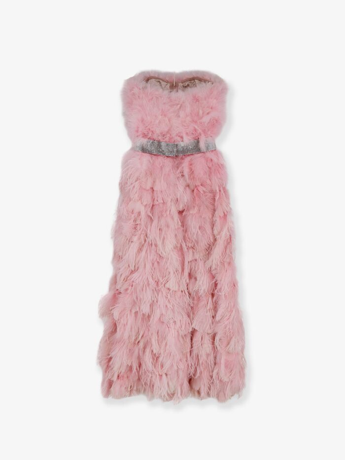 Dolce & Gabbana Silk Long Dress With Feathers