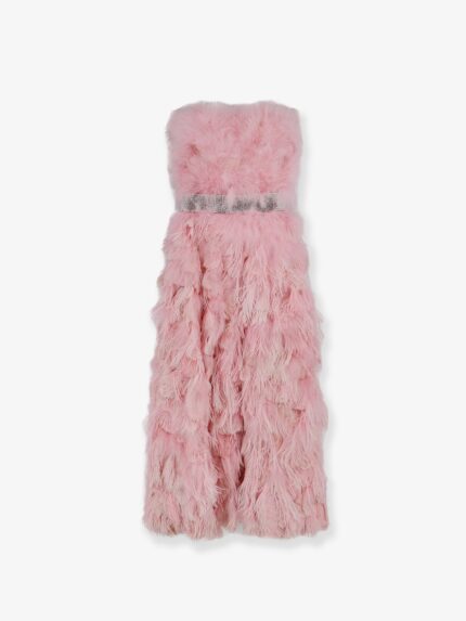 Dolce & Gabbana Silk Long Dress With Feathers