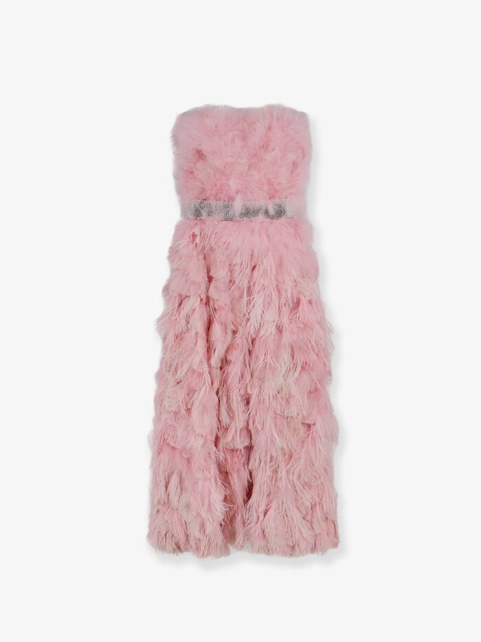 Dolce & Gabbana Silk Long Dress With Feathers