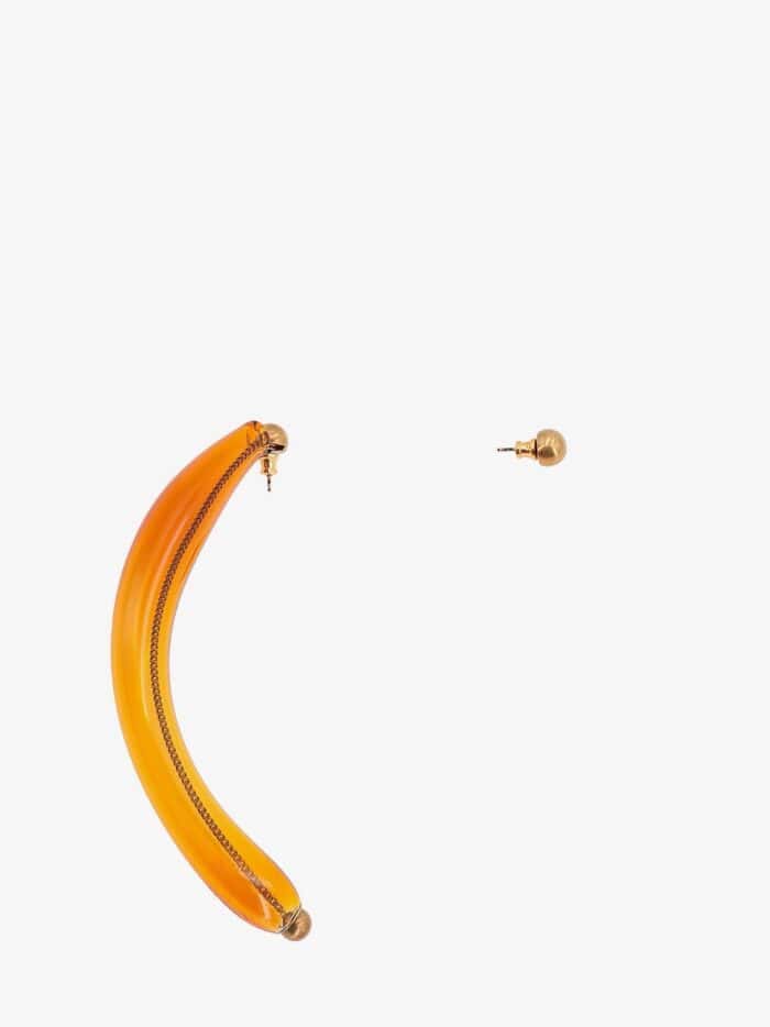 DRIES VAN NOTEN EARRINGS