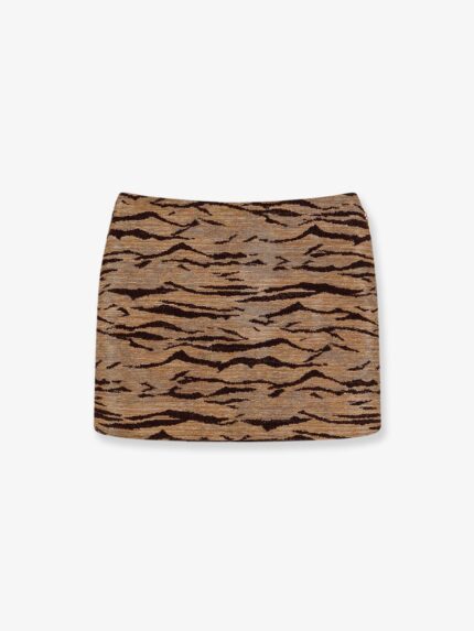 Elisabetta Franchi Embroidered Mini Skirt
