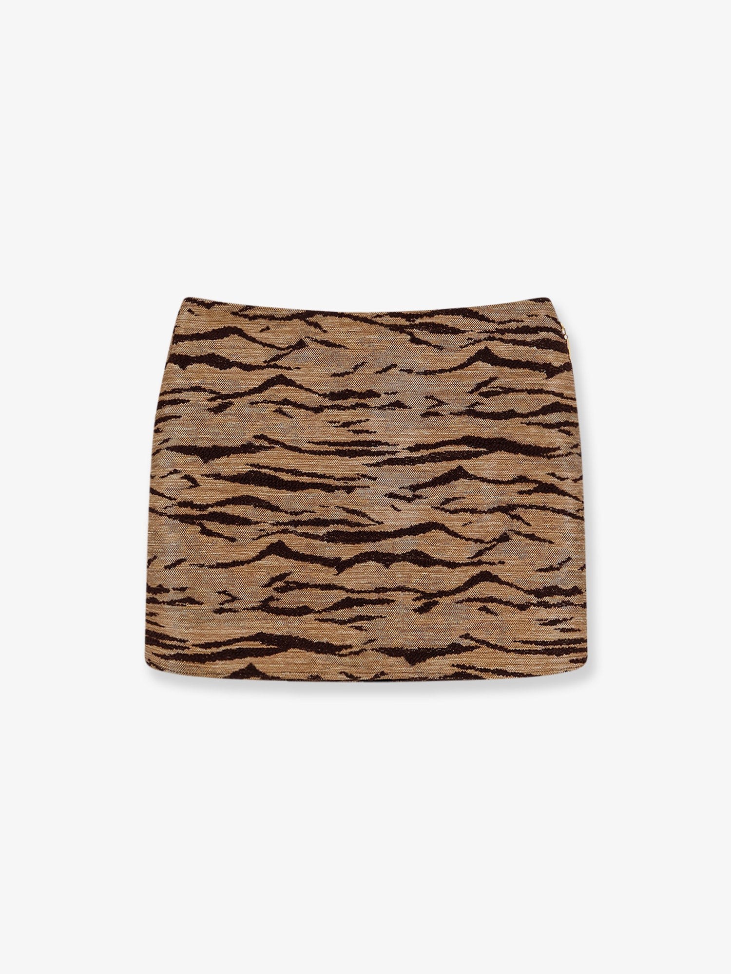 Elisabetta Franchi Embroidered Mini Skirt