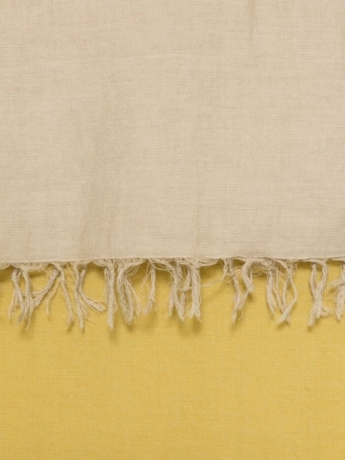 Fabiana Filippi DEGRADE SCARF