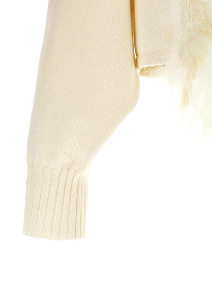Alberta Ferretti Feather Cropped Sweater