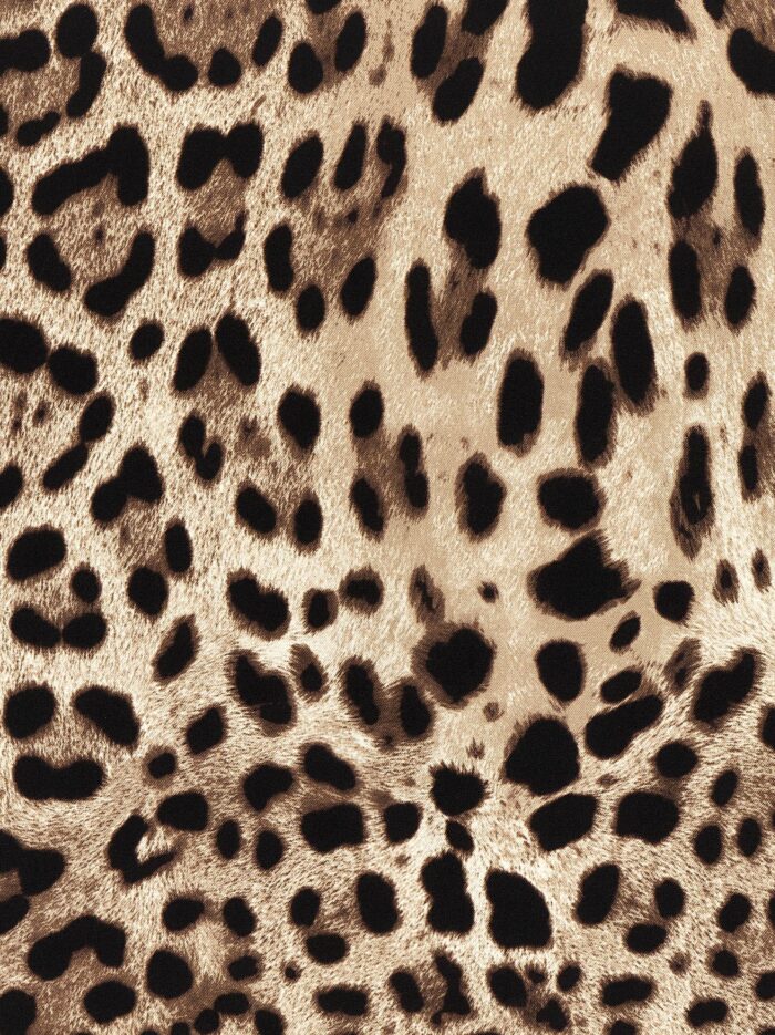 Dolce & Gabbana 'Leopardo' Scarf