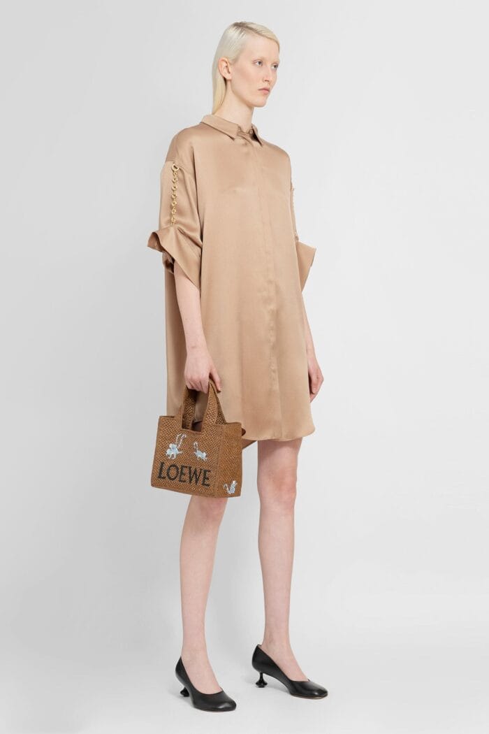 LOEWE Chain Shirt Dress In Silk