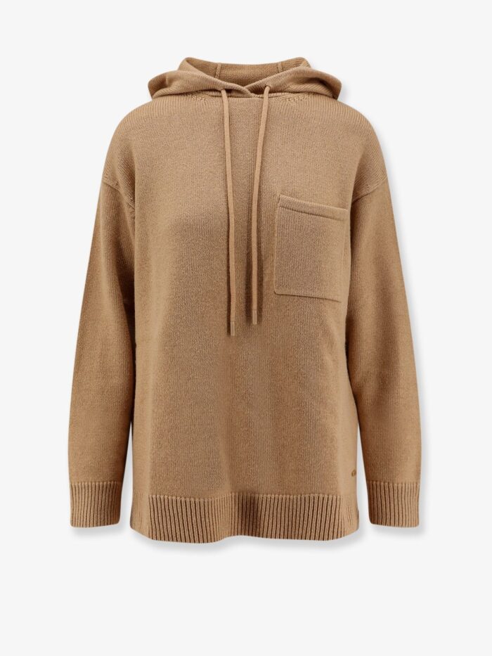 Max Mara Liana Wool And Cashmere Hooded Sweater