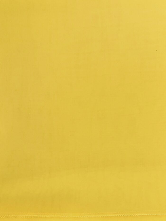 Max Mara Rivera Silk Chiffon Stole