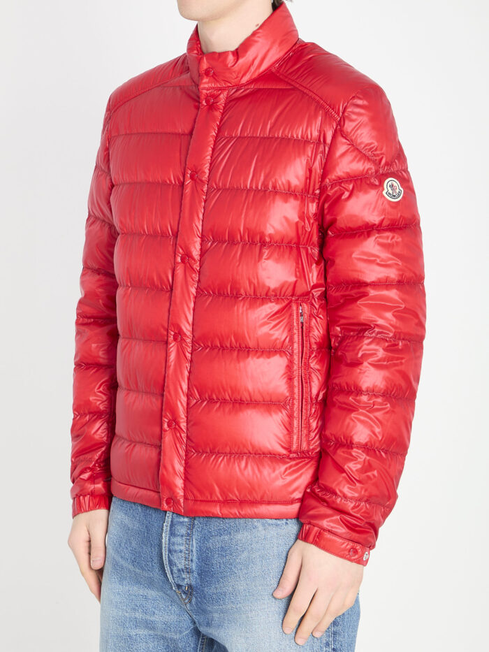 Moncler Selves down jacket