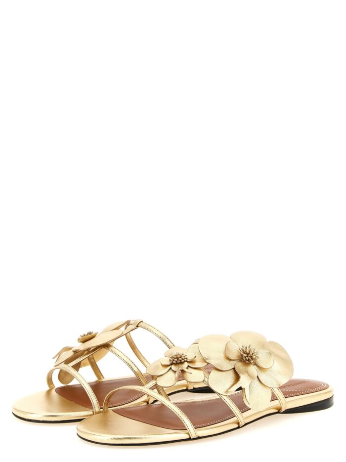 ZIMMERMANN 'Orchid' Slides