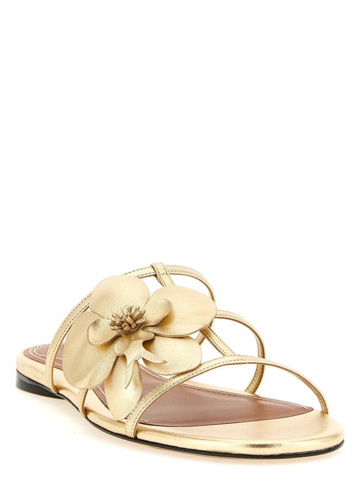 ZIMMERMANN 'Orchid' Slides