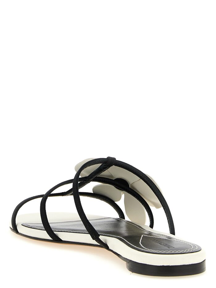 ZIMMERMANN 'Orchid' Slides