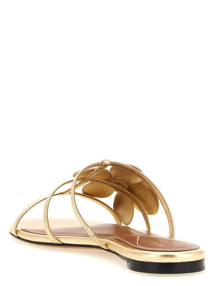 ZIMMERMANN 'Orchid' Slides